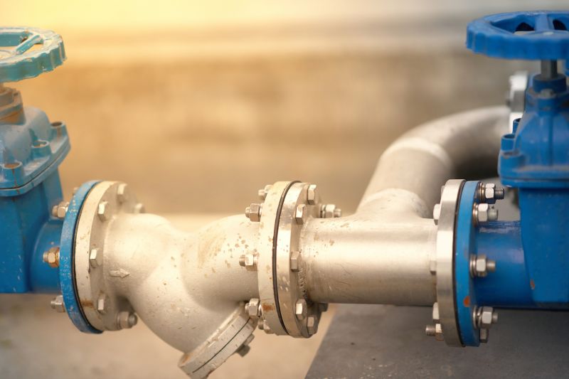 Backflow Valve Inspection